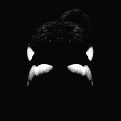Avatar: blackfish.eth